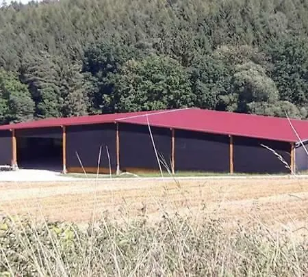 Hofgut Schwarzenborn Wohnen&reitanlage In Mitten Der Natur Giesenhain